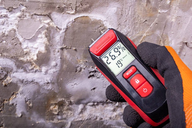 Best Fast Mold Removal  in Scottsburg, IN