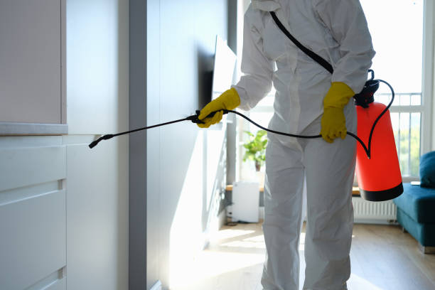 Best Certified Mold Removal  in Scottsburg, IN