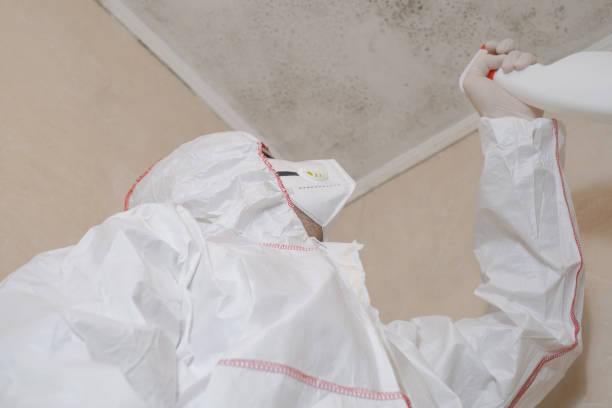 Best Emergency Mold Removal  in Scottsburg, IN