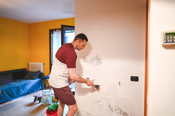 Best Mold Damage Repair  in Scottsburg, IN